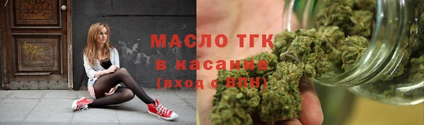 МДПВ Бородино