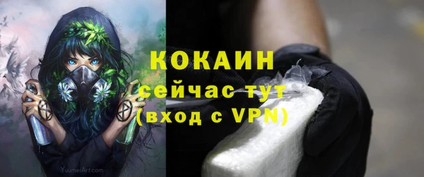 мяу мяу мука Богородицк
