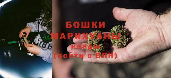 МДПВ Бородино