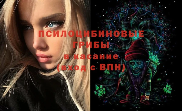прущий лед Бронницы