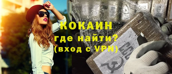 МДПВ Бородино