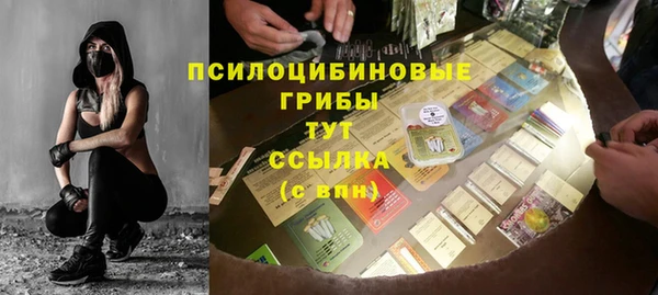 прущий лед Богородск